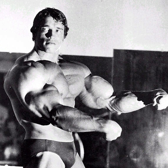 Arnold - 