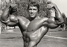 Arnold - 