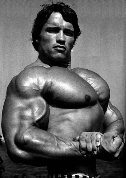 Arnold - 