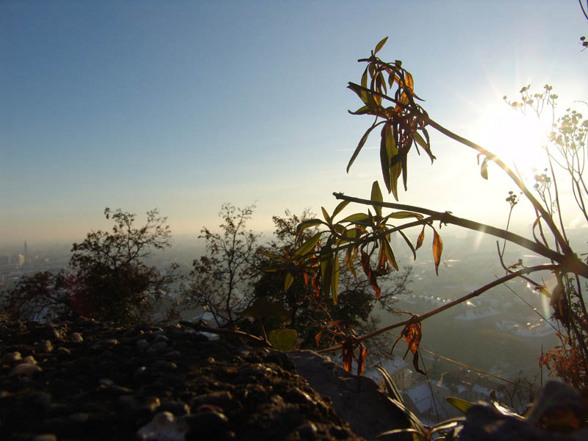 Graz wunderschön - 