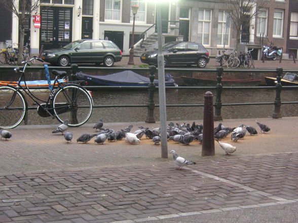 Amsterdam - 