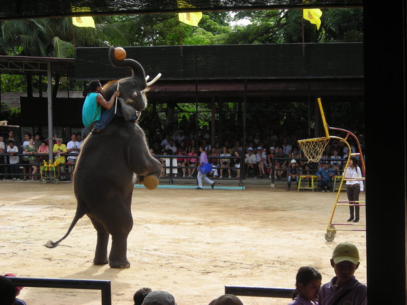 Thailand August '07 - 