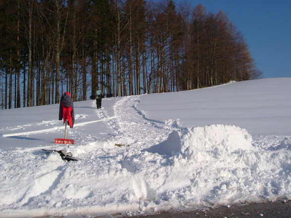 the freezing season, i love it - 