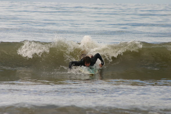 surfin brasiiiiiiil - 