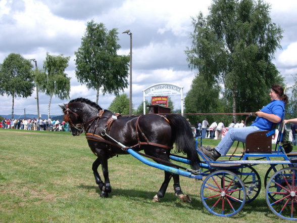 CAI Altenfelden 2007 - 