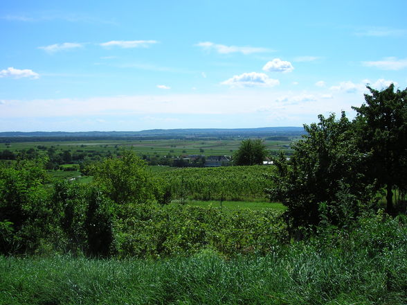 Burgenland - 