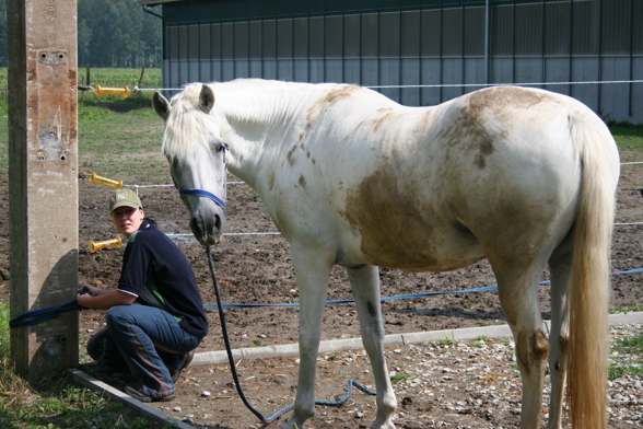 Mein Vierbeiner und Ich!! - 