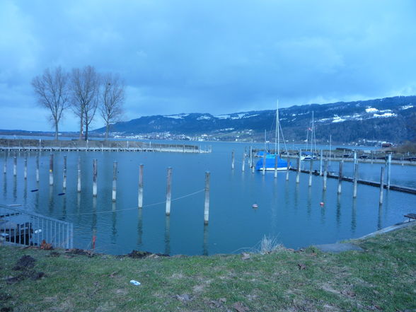 Bodensee& Yachtclub Bregenz - 