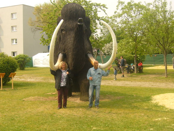 DINO Park, Traun 01.05.09 - 