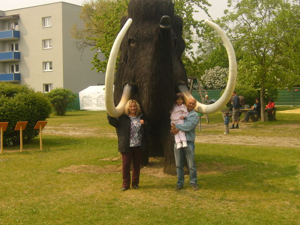 DINO Park, Traun 01.05.09 - 