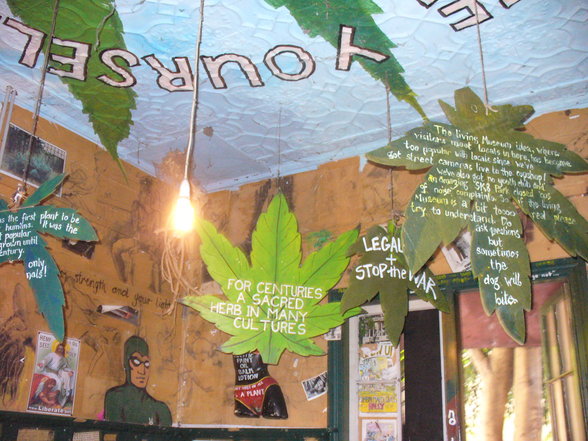 nimbin - 