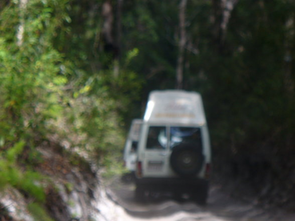 fraser island - 