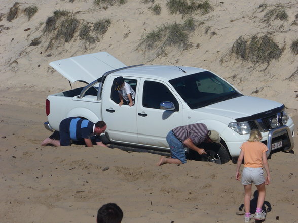 fraser island - 