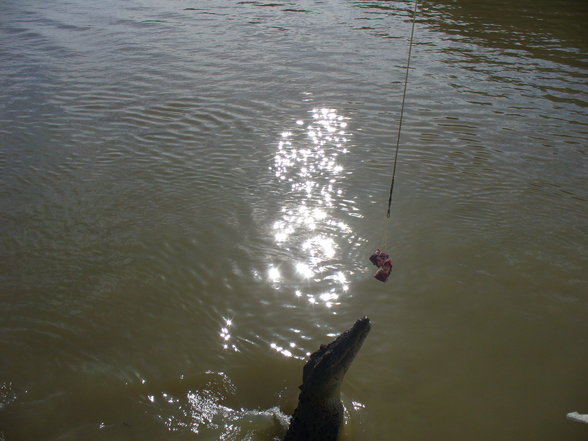 kakadu nationalpark, darwin - 