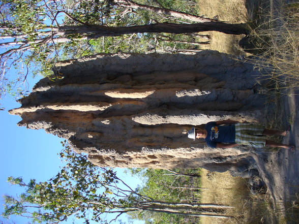 kakadu nationalpark, darwin - 