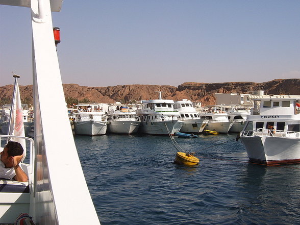 SHARM EL SHEIKH 2007 (MAGIC LIFE) - 