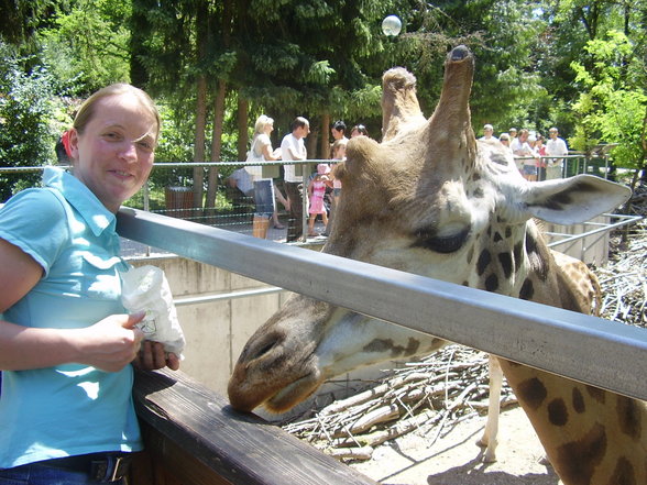 Sonntagsausflug im Tierpark Schmiding! - 