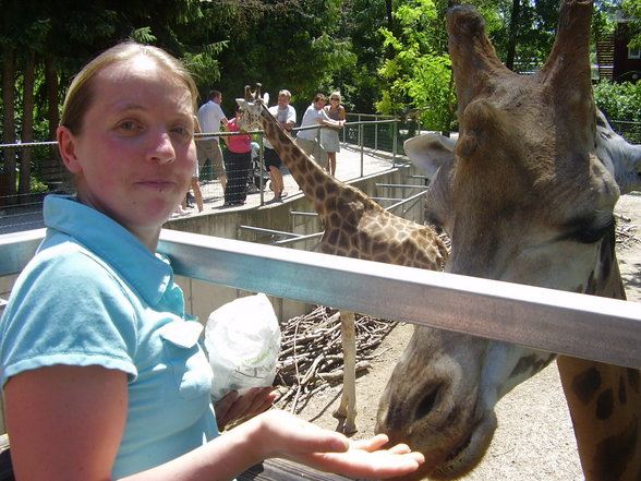 Sonntagsausflug im Tierpark Schmiding! - 