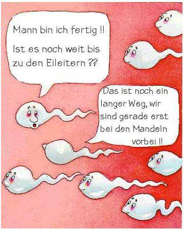 Einfach so! - 