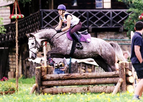 Best horse ever - in memoriam - Joker - 