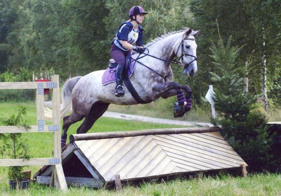 Best horse ever - in memoriam - Joker - 