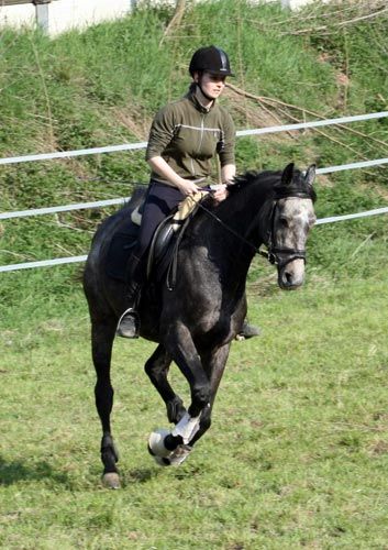 Leo - ersten paar Fotos:-) - 