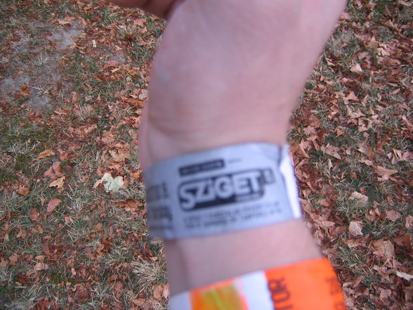 SZIGET 2007 - 