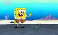 Spongebob - 