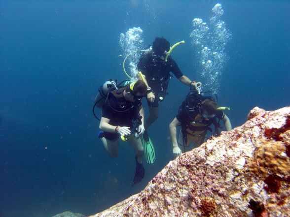 Tiefseetauchen bei Koh Tao - 