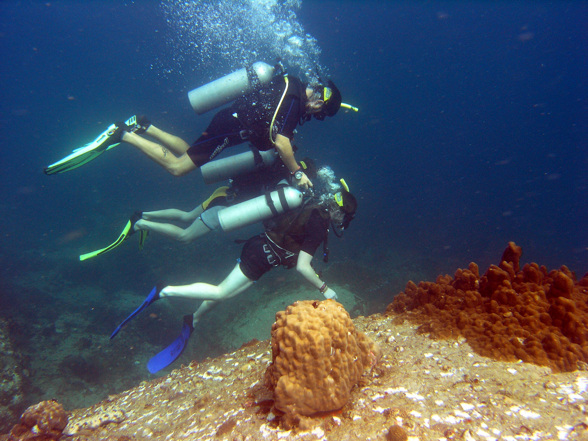 Tiefseetauchen bei Koh Tao - 