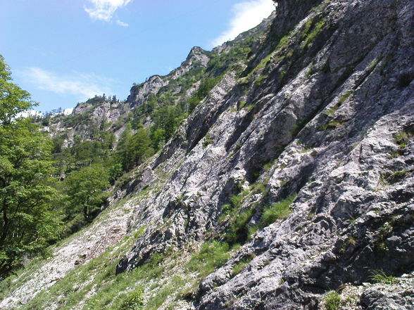 Welserhütte 09.06.2009 - 