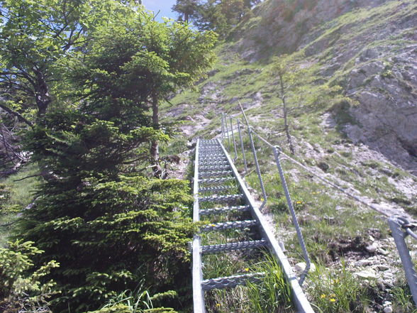 Welserhütte 09.06.2009 - 