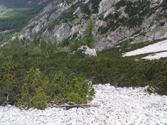 Welserhütte 09.06.2009 - 