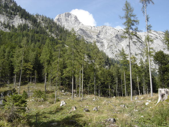 Poppenalm - Salzsteigjoch - Gamsstein - 