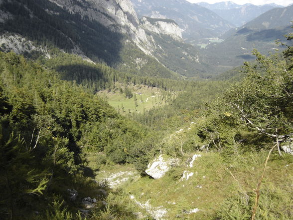 Poppenalm - Salzsteigjoch - Gamsstein - 