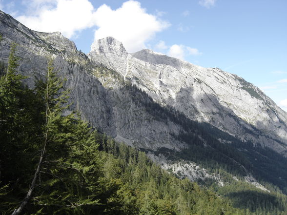 Poppenalm - Salzsteigjoch - Gamsstein - 