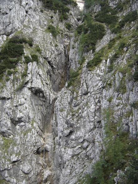 Poppenalm - Salzsteigjoch - Gamsstein - 