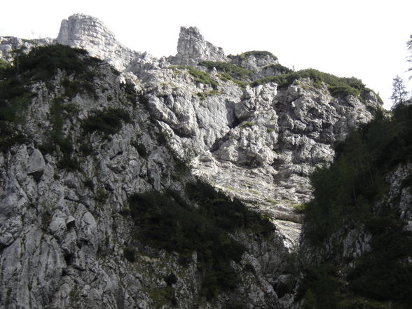 Poppenalm - Salzsteigjoch - Gamsstein - 