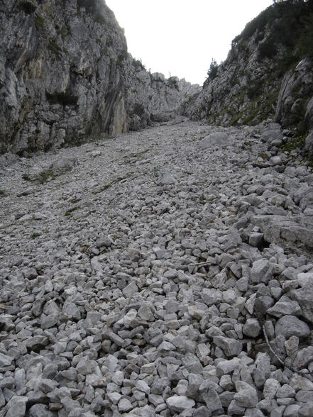 Poppenalm - Salzsteigjoch - Gamsstein - 