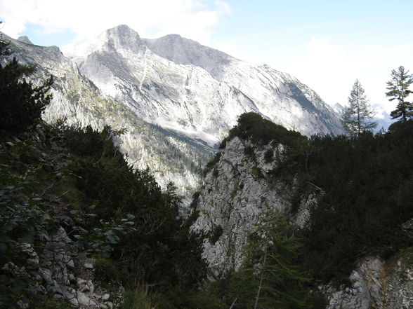 Poppenalm - Salzsteigjoch - Gamsstein - 