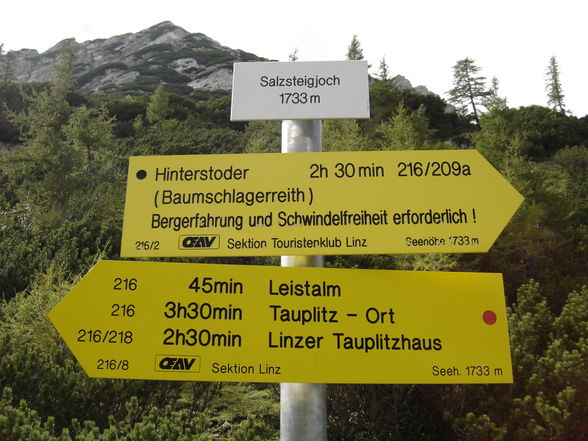 Poppenalm - Salzsteigjoch - Gamsstein - 