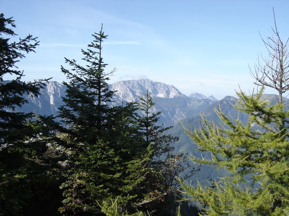 Ebenforstalm - Trämpl - Schaumbergalm - 