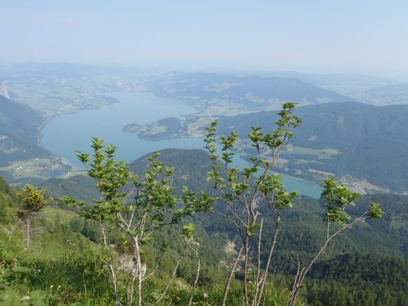 Kurztrip Mondsee 30.06.10-03.07.10 - 