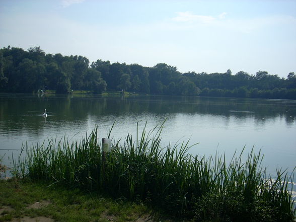 Liebmannsee - 