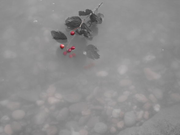 Leben. - 