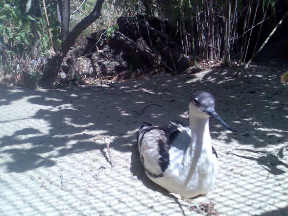 Besuch in Schönbrunn - 