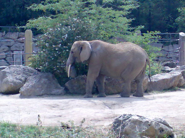 Besuch in Schönbrunn - 