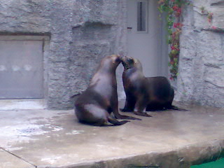 Besuch in Schönbrunn - 