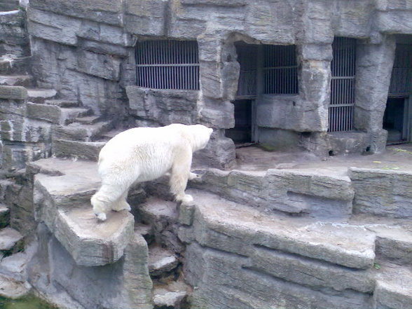 Besuch in Schönbrunn - 