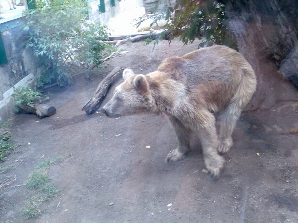 Besuch in Schönbrunn - 